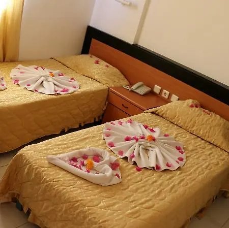 Speedy Apartment